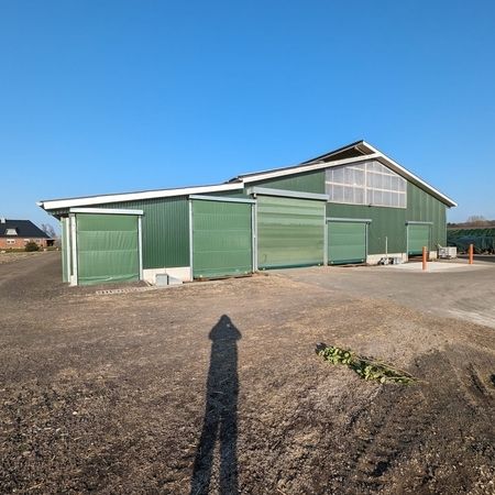 Ein grüner Stall der durch ein Agrotel Rolltor betreten werden kann