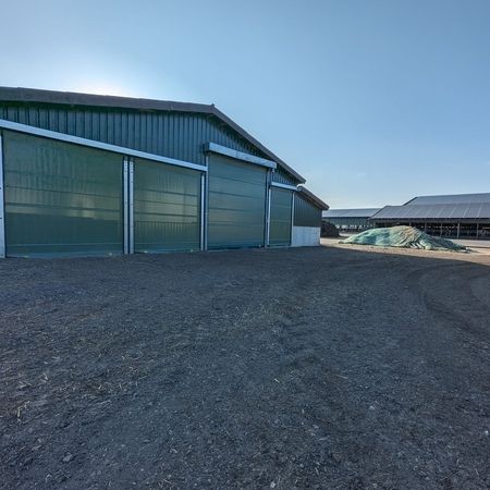 Ein grüner Stall der durch ein Agrotel Rolltor betreten werden kann