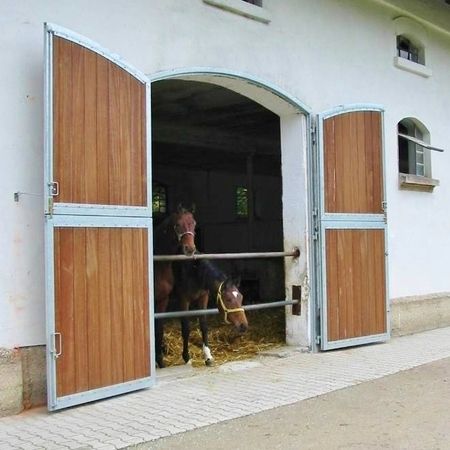Zwei Pferde blicken durch die Tür eines Laufstalls