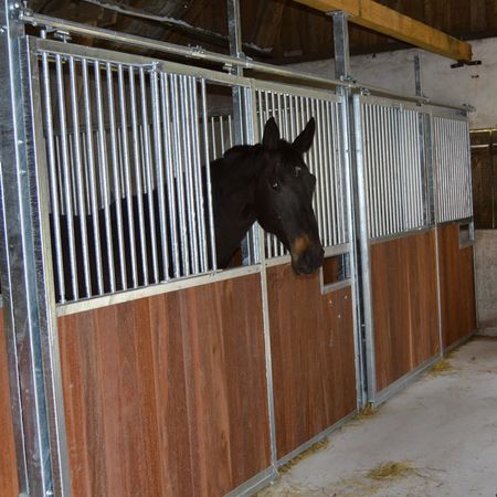 Ein Pferd steht in einem Pferdestall aus Eigenfertigung