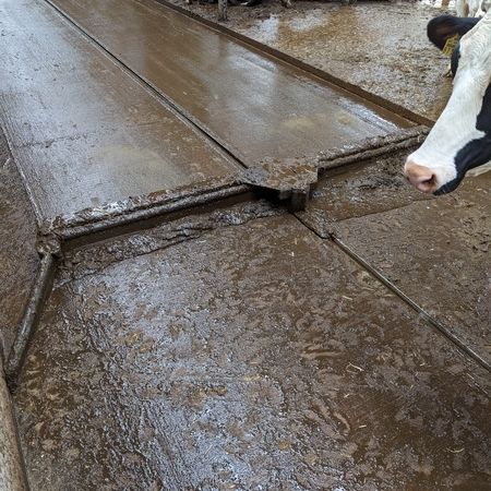 Ein Stall wird mit einer Seilanlage mit Pendelklappschieber gereinigt