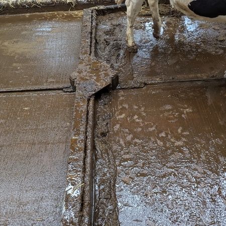 Ein Stall wird mit einer Seilanlage mit Pendelklappschieber gereinigt
